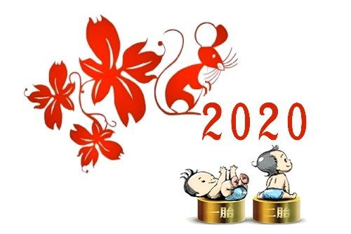 2020适合生宝宝的属相,2020年生宝宝几月份好