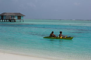 马尔代夫无人岛有哪些惊喜等你来发现（马尔代夫私人海岛）