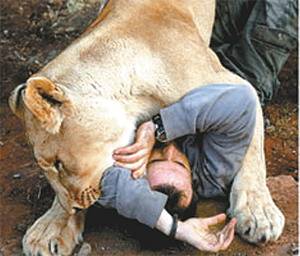 南非奇男子 与狮同眠 
