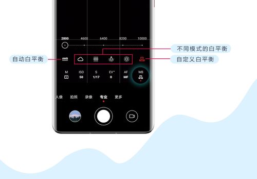 动漫蓝天怎么拍 华为手机相机专业模式之白平衡使用体验 华为Mate40系列分享交流 花粉俱乐部 