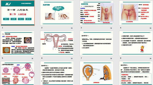 初中课件全套