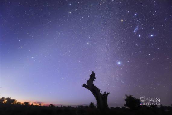 星空有约 猜猜冬季星空的 霸主 是谁