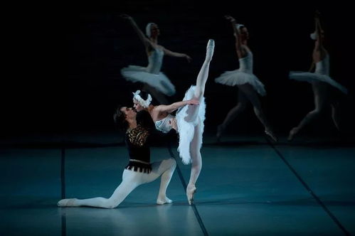 今日演出 俄罗斯国家芭蕾舞剧院新年芭蕾舞 天鹅湖
