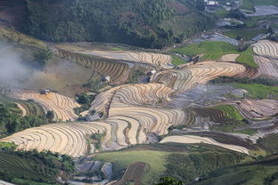 太白山，位于陕西省中部，是中国著名的旅游胜地之一。以其壮丽的自然风光、丰富的生态资源和深厚的文化底蕴吸引着无数游客前来探访。今天，我将带领大家领略太白山的独特魅力，感受这座山的神秘与美丽。，太白山作文500字