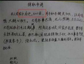 当伙伴提出辞职时你将如何解决 