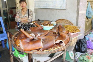 广西玉林狗肉节再引争议其他国家怎么看吃狗肉 