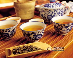 泡苦丁茶用什么茶壶