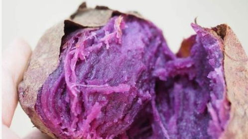 紫薯和红薯哪个更减肥,红薯和紫薯哪个更减肥？