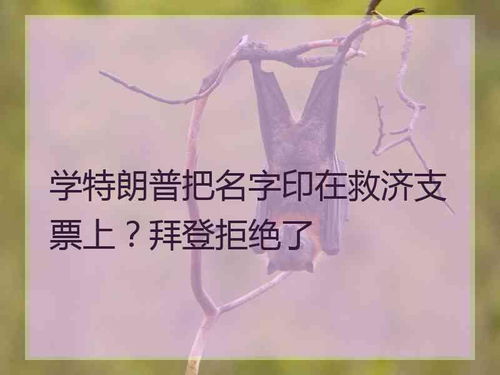 学特朗普把名字印在救济支票上 拜登拒绝了 美国总统拜登最新真实消息