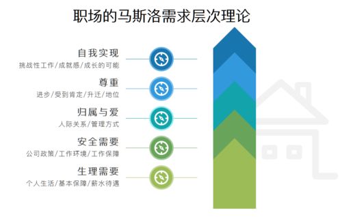 牛人成长有方向,小牛互娱全方位人才培养体系曝光