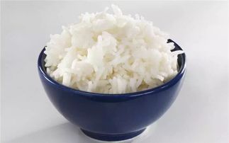 一碗燕麦等于几碗米饭 一碗饭和一碗燕麦的热量分别是多少