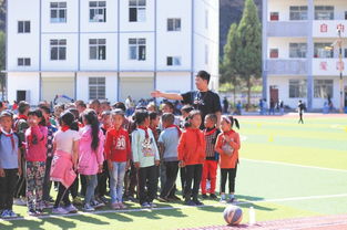 乐山市柏杨小学(乐山新广场附近有哪些学校)