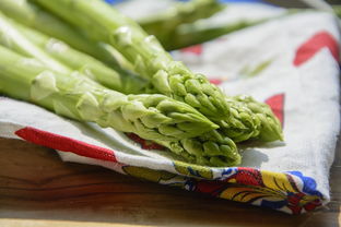 武汉室内蔬菜种植（武汉蔬菜种苗培育