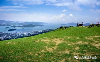 香港麦理浩径的山有多高