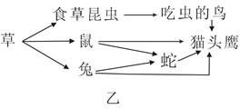 食物链通常从什么时候开始到什么时候结束