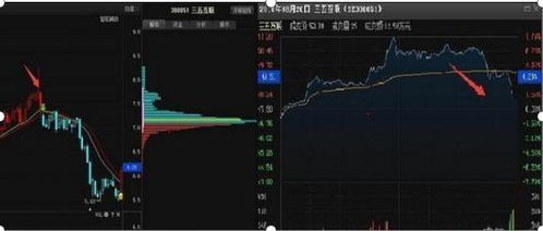 连续跌停后出现大阳线次日开盘价下跌百分之五十收盘跌停怎么看这走势