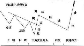 机构的高度控盘锁定了筹码？ 机构是指什么，锁定的是什么筹码，什么叫高度控盘？