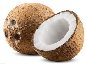 椰子的功效与作用,椰子的功效与作用