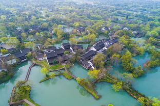 杭州西溪湿地外地牌照限行吗(杭州西溪温地有免费停车场)