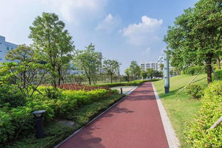 石岩湿地公园好停车吗(石岩市免费停车场)