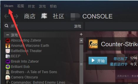 大家好,我的是正版CSGO,请问怎么改名字 