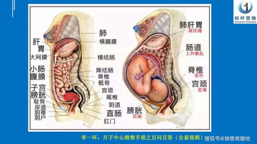 JN江南体育|外贸企业低值高报，一定构成骗取出口退税吗？（一）(图2)