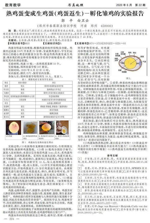 学年论文查重的重要性：为何每位学生都需了解