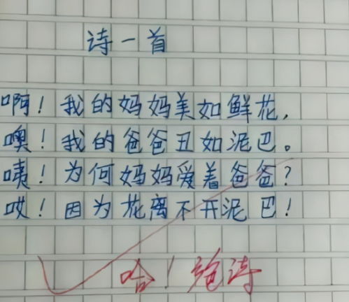 小学生作文 委屈 走红,老师看后哭笑不得,满满都是梗