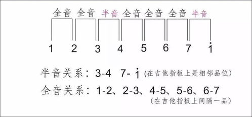 吉他的知识(吉他的知识音符图)