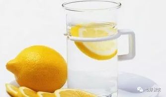 桃梨橙柿自制柠檬饮料,让你甩掉脂肪,远离肥胖 