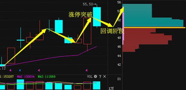 我想问一下股友，09年的股市趋势如何，在中国是什么因素影响股市从6000点下滑至不到2000点呢？