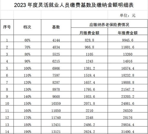 灵活就业养老保险缴费金额,2023年灵活就业养老保险交多少