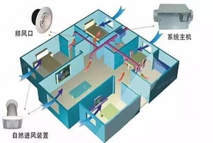 夏天鱼缸如何降温 看看这8种方法 