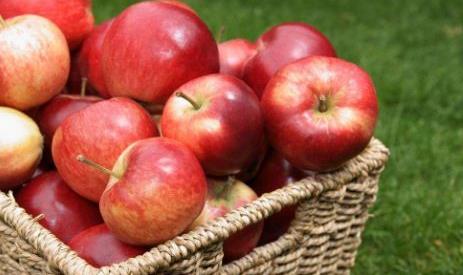 晚上吃苹果,对健康是利是弊,很多人不清楚,告诉你答案