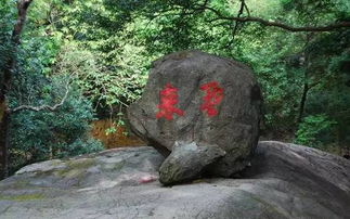 跟着诗词去旅行 日啖荔枝三百颗,惠州罗浮山让吃货苏轼乐不思蜀 