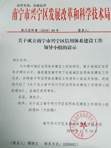 关于成立南宁市兴宁区信用体系建设工作领导小组的请示