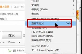 win10系统如何用ie浏览器东西