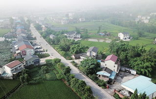 重庆大足龙岗街道