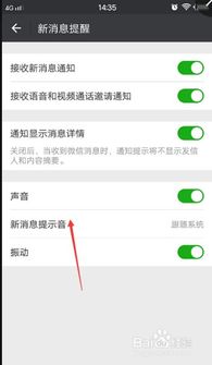 怎么设置微信群消息提醒 (微信群聊天语音提醒怎么设置)