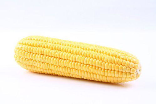 古诗词中有称赞玉米的吗 