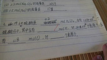 3molH2SO4中含有多少个H2SO4