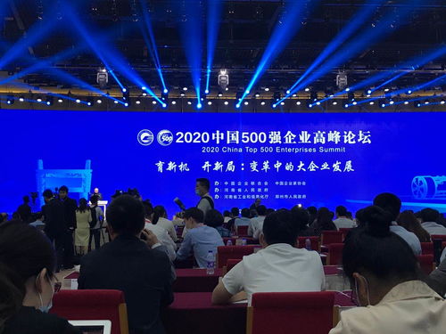 中国制造业500强龙头企业是？