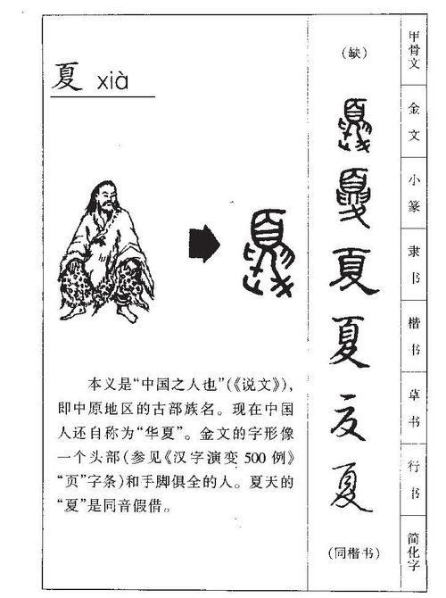 带夏字博学多才的小孩名,太唯美了