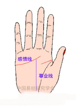两条事业线的手掌纹代表了什么 