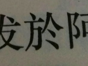 你好,这个字读什么 