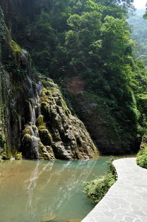 重庆万盛黑山谷和石林 .