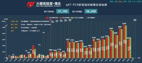 2022年10月份新上市的股票天猫代码是