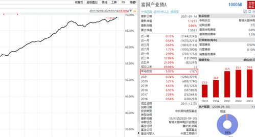 基金合同规定不能买股票的债券基金为何还会负增长