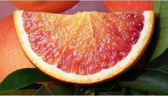 果农推荐了这么多品种的橙子,馋得我口水直流,你最想吃哪一个 