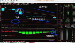 请问大家如何看待股票601899紫金矿业？